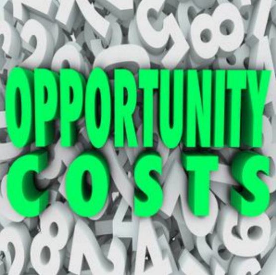 Prepayment or Investment: The Cost - Benefit Dilemma