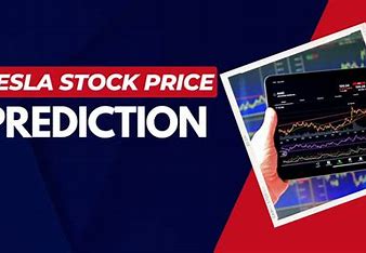Tesla Stocks vs Bitcoin: Which is a Wiser Bet in 2025?