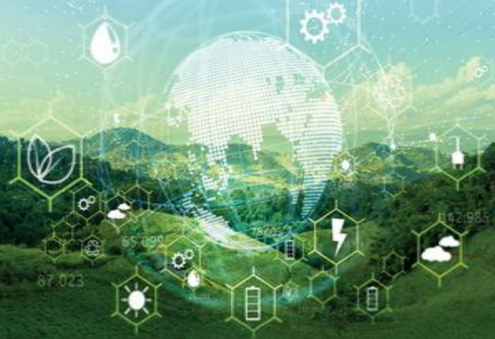 Insurance: The Bedrock of Wealth Management